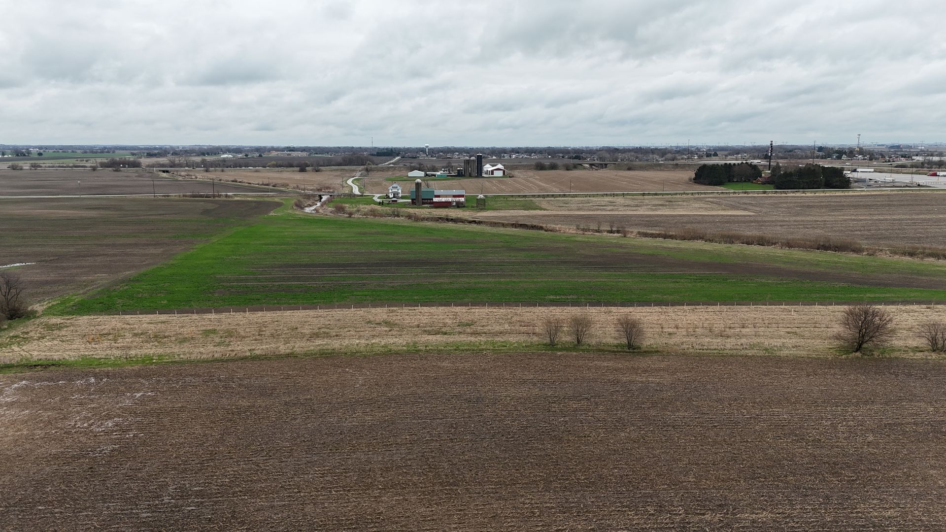 Pecan orchard rows from above