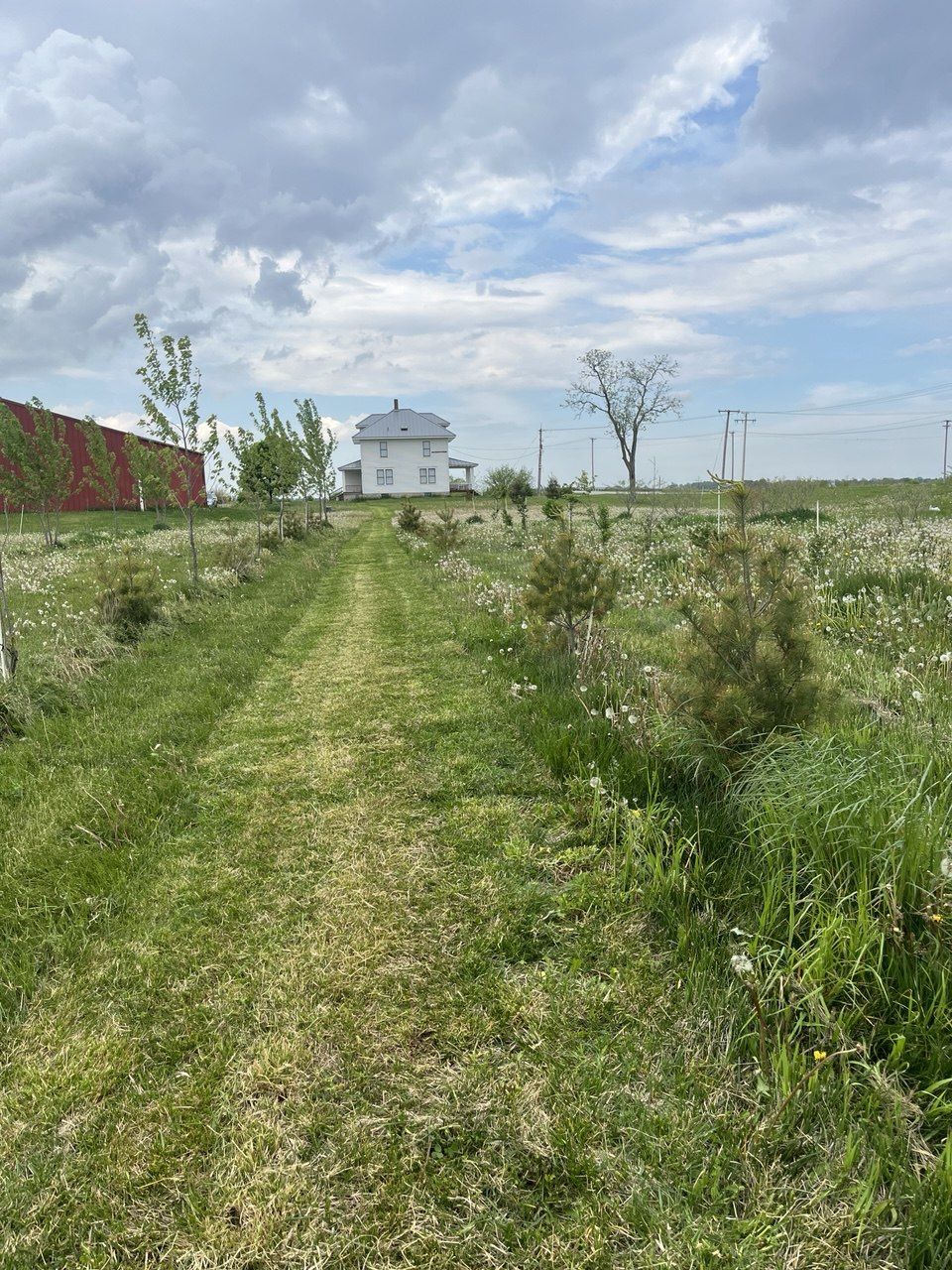 Mowed path leading to Rock Creek farmhouse