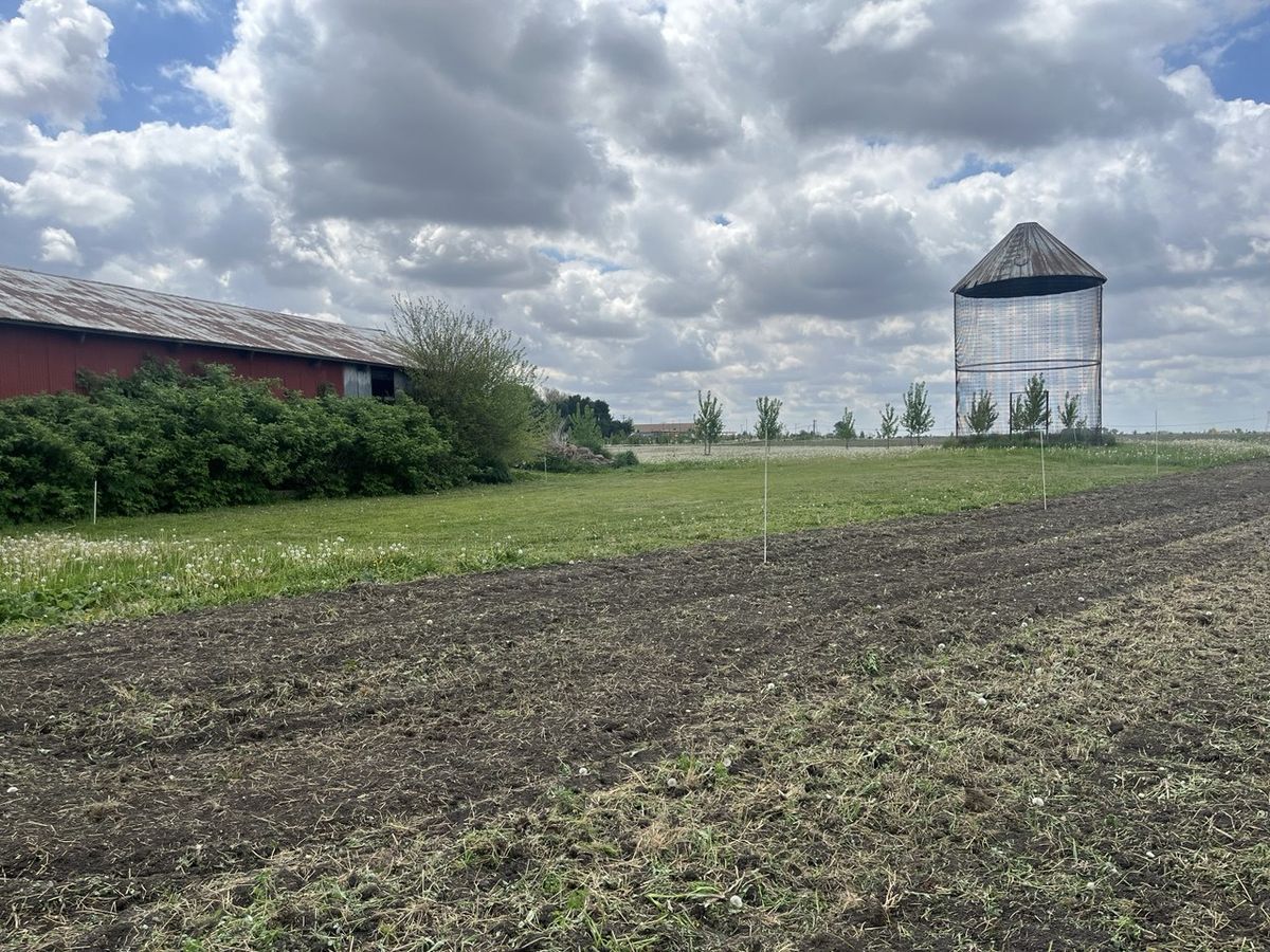 Dairy barn event space