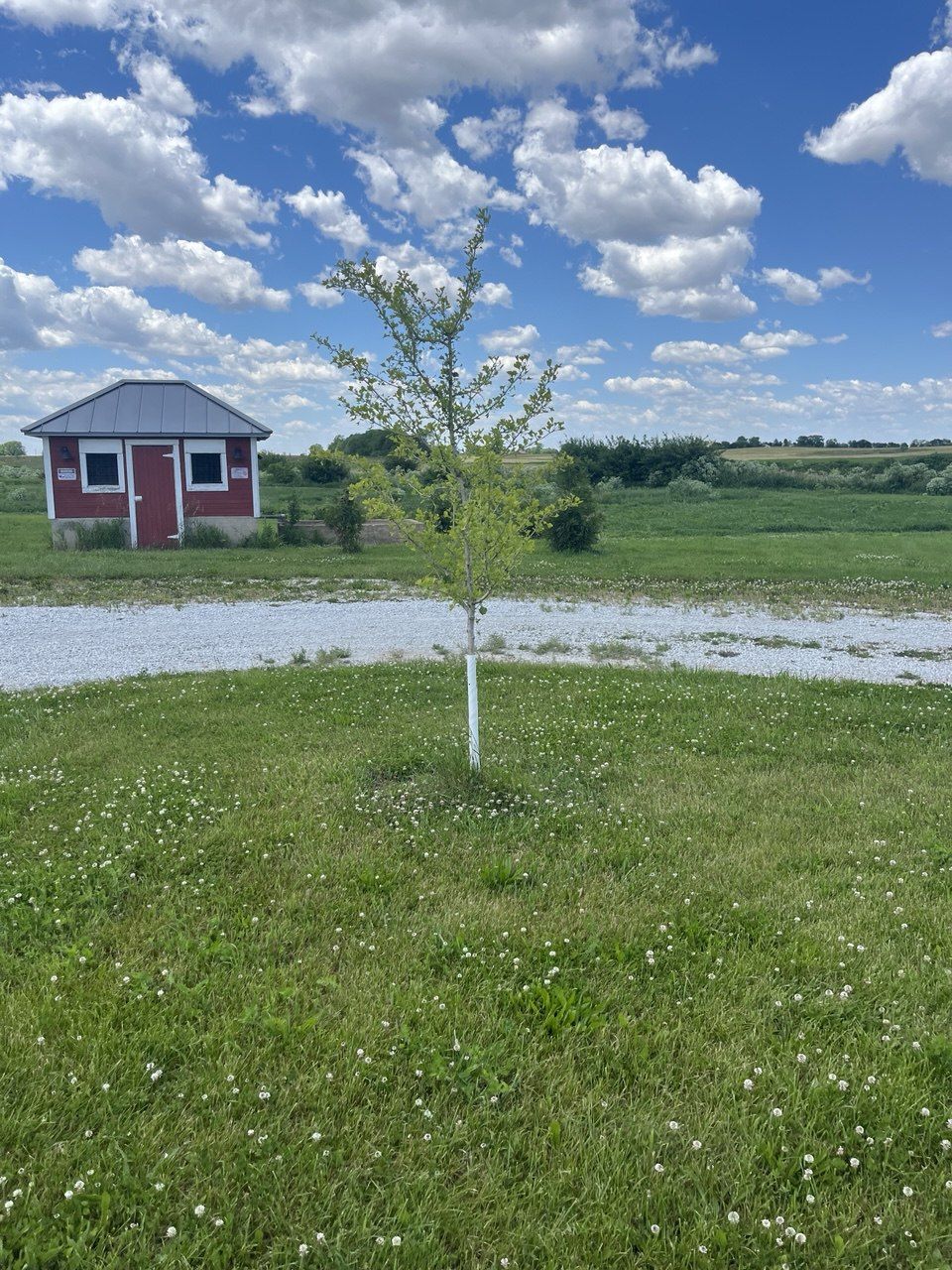 Grounds with pump house and young tree